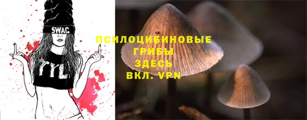 a pvp Бородино