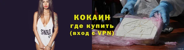 a pvp Бородино