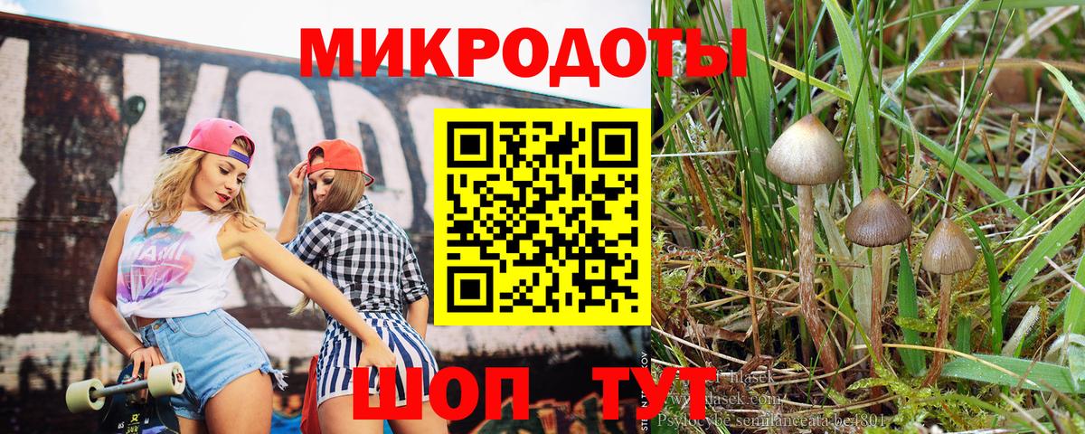 Галлюциногенные грибы Magic Shrooms  Вход с VPN  Буйнакск 