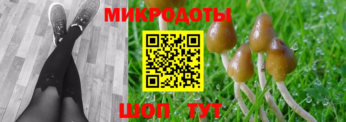 Галлюциногенные грибы Cubensis Буйнакск